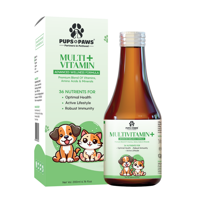 Multivitamin+ Syrup