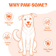 Anti Tick & Flea Shampoo