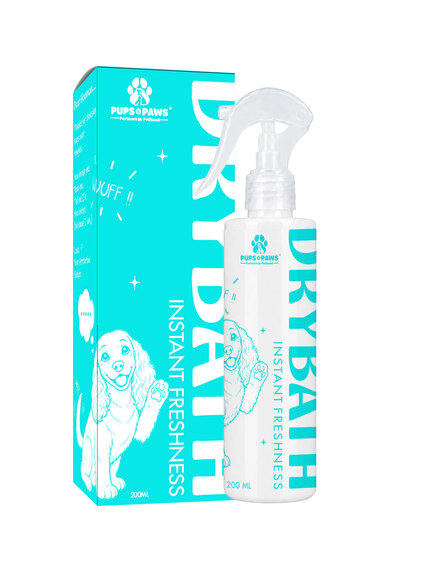 Dry Bath Instant Freshness Spray