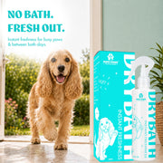 Dry Bath Instant Freshness Spray