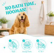 Dry Bath Instant Freshness Spray