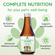 Multivitamin+ Syrup